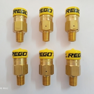 Van an toàn đường ống Rego - Mỹ